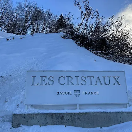 De Prestige 10 Pers Avec Spa, Parking Et Wifi - Fr-1-352-95 Bourg-Saint-Maurice